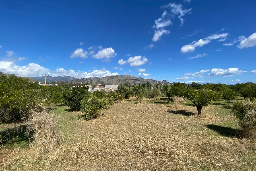 Agricolo in vendita di 3.320 mq a €40.000 (rif. 15/2026)