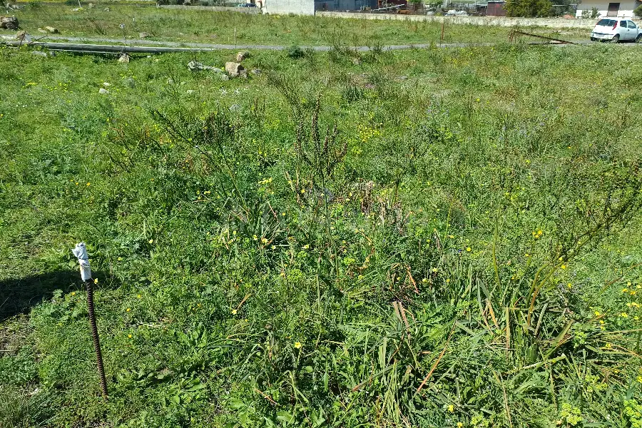 Agricolo in vendita di 5.700 mq a €16.000 (rif. 40/2026)