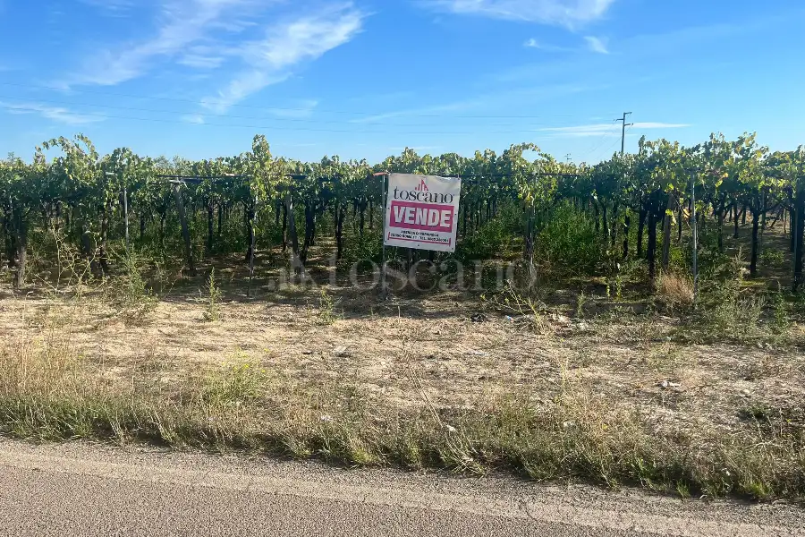 Agricolo in vendita di 7.000 mq a €69.000 (rif. 54/2025)