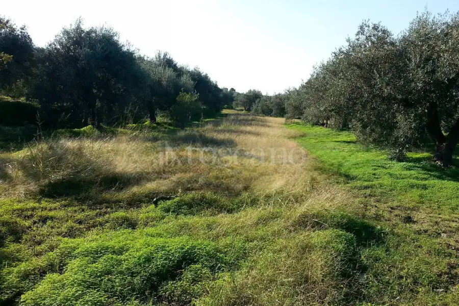 Rustico in vendita di 178 mq a €70.000 (rif. 14/2026)