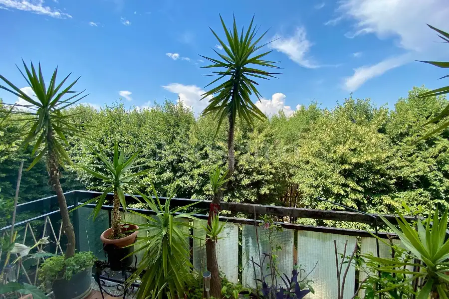 Casa in vendita di 127 mq a €229.000 (rif. 22/2026)