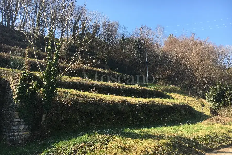 Agricolo in vendita di 2.000 mq a €15.000 (rif. 2/2025)