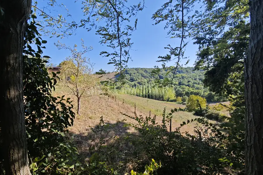 Agricolo in vendita di 20.000 mq a €80.000 (rif. 24/2026)