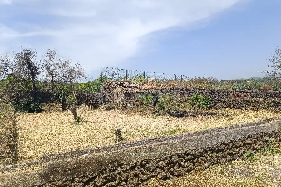 Agricolo in vendita di 1.000 mq a €39.000 (rif. 74/2026)