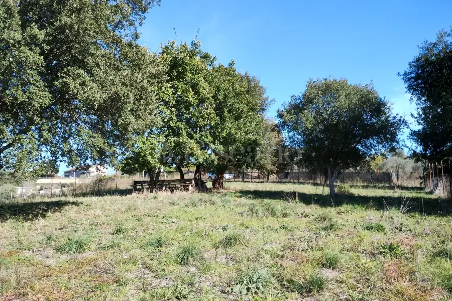 Agricolo in vendita di 1.200 mq a €45.000 (rif. 62/2025)