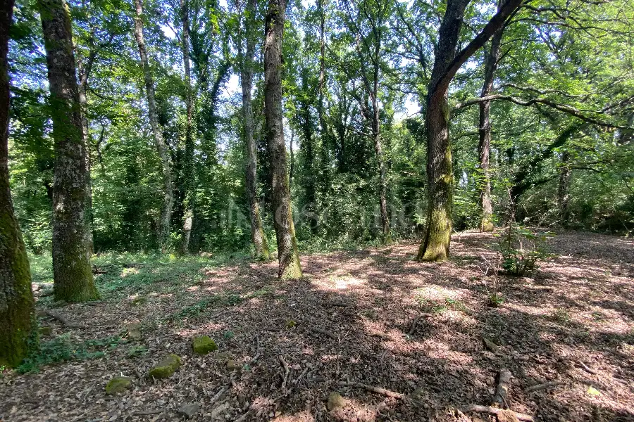 Agricolo in vendita di 5.000 mq a €19.000 (rif. 36/2025)