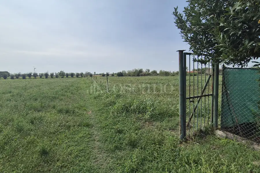 Agricolo in vendita di 8.090 mq a €120.000 (rif. 36/2026)