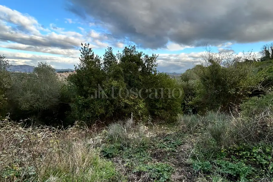 Agricolo in vendita di 4.300 mq a €10.000 (rif. 213/2025)