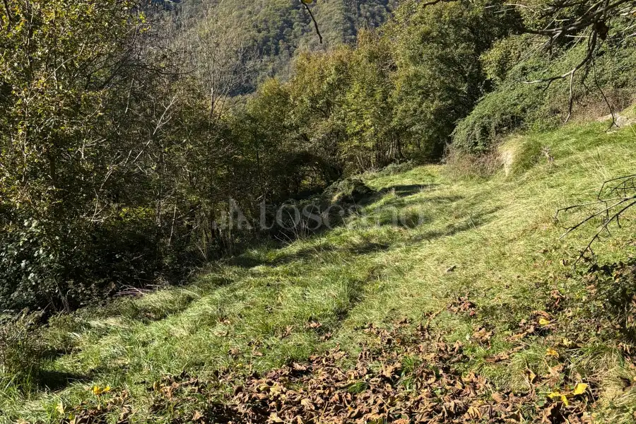 Rustico in vendita di 50 mq a €24.000 (rif. 48/2025)