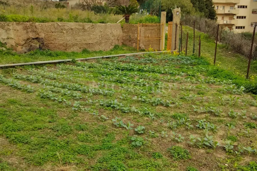 Agricolo in vendita di 820 mq a €18.000 (rif. 31/2026)