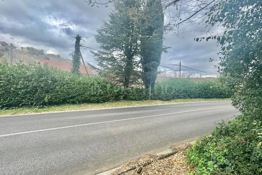 Agricolo in vendita di 25.000 mq a €80.000 (rif. 97/2024)