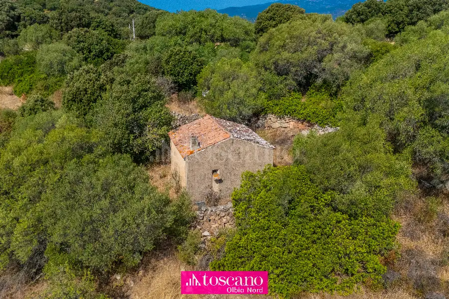 Agricolo in vendita di 176.937 mq a €170.000 (rif. 49/2026)