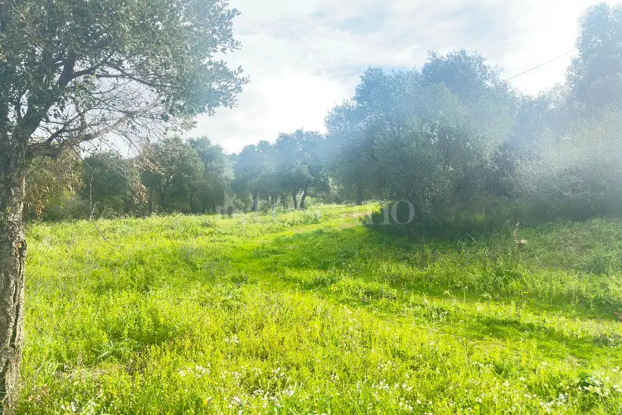 Edificabile Residenziali in vendita di 800 mq a €100.000 (rif. 2/2026)