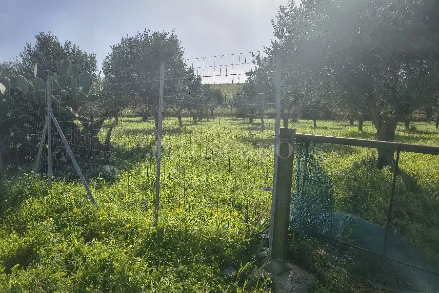 Agricolo in vendita di 55.538 mq a €128.000 (rif. 15/2026)
