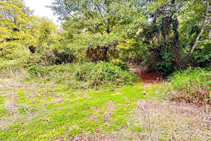 Agricolo in vendita di 194.010 mq a €250.000 (rif. 56/2024)
