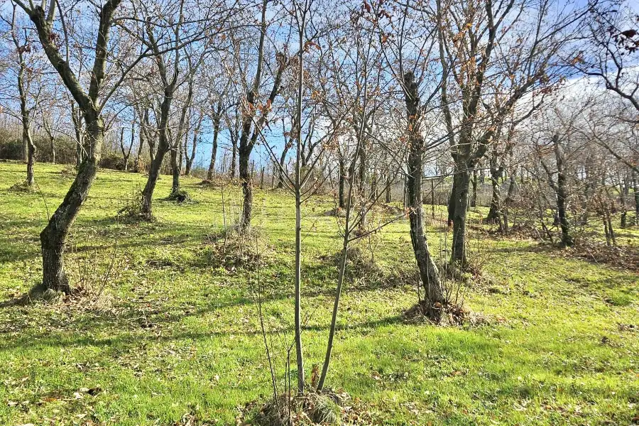 Agricolo in vendita di 4.600 mq a €18.000 (rif. 26/2026)