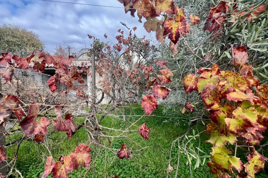 Casa Indipendente in vendita di 150 mq a €178.000 (rif. 188/2025)