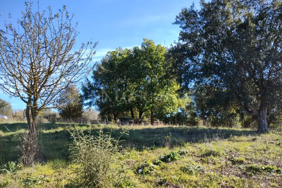 Agricolo in vendita di 1.200 mq a €45.000 (rif. 62/2025)