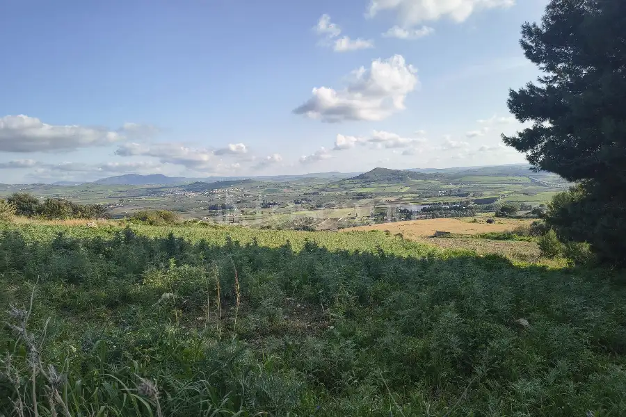 Agricolo in vendita di 9.600 mq a €28.000 (rif. 18/2026)
