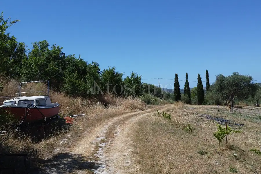 Edificabile Industriale in vendita di 9.000 mq a €50.000 (rif. 142/2026)