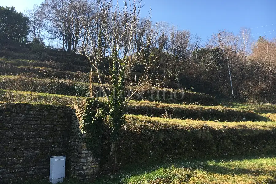 Agricolo in vendita di 2.000 mq a €15.000 (rif. 2/2025)