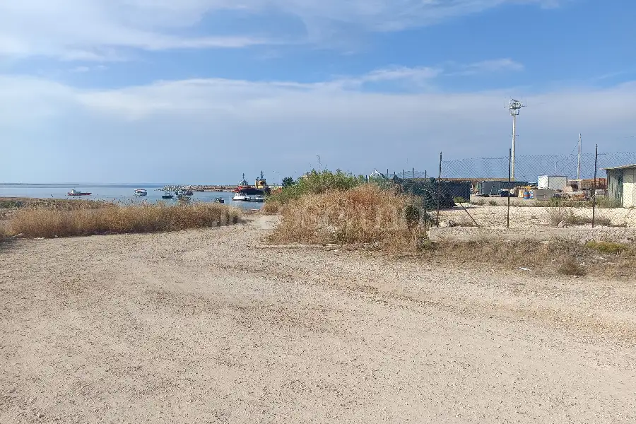 Agricolo in affitto di 1.000 mq a €750 (rif. 95/2026)