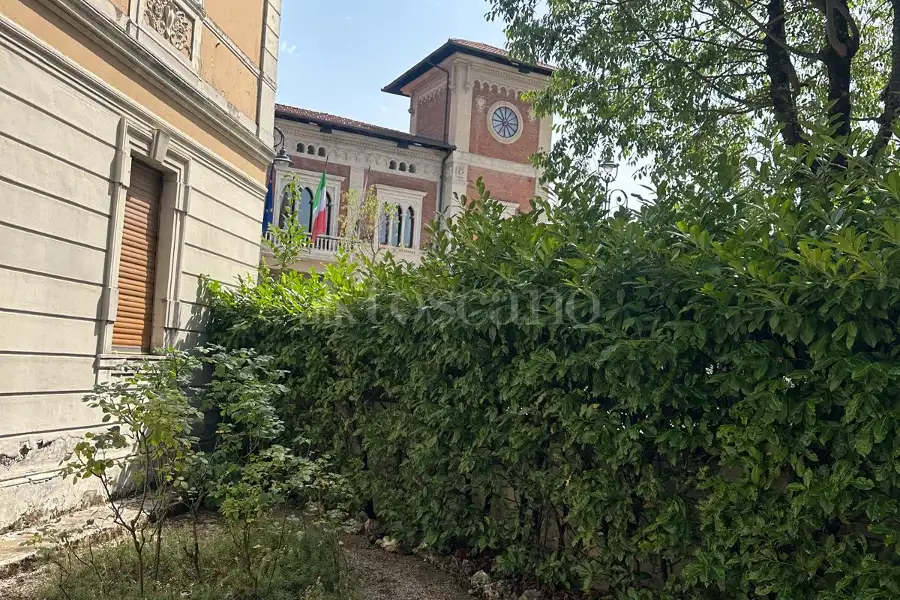 immagine annuncio 9 di 15