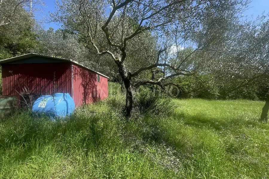 Agricolo in vendita di 3.360 mq a €12.000 (rif. 22/2026)