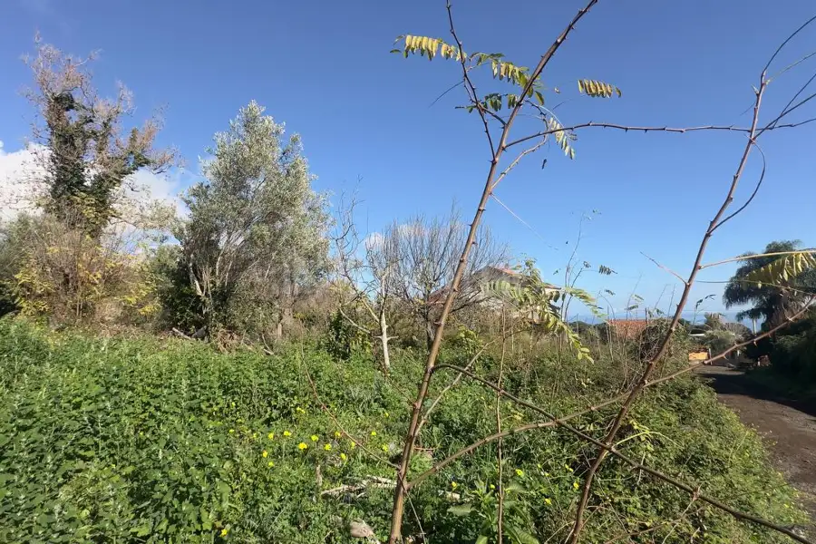 Edificabile Residenziali in vendita di 1.600 mq a €138.000 (rif. 192/2025)