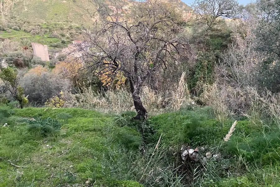Casale in vendita di 60 mq a €68.000 (rif. 88/2024)