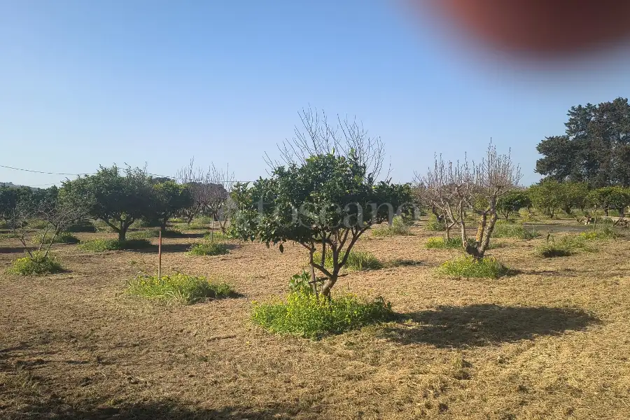 Agricolo in vendita di 14.880 mq a €108.000 (rif. 27/2026)