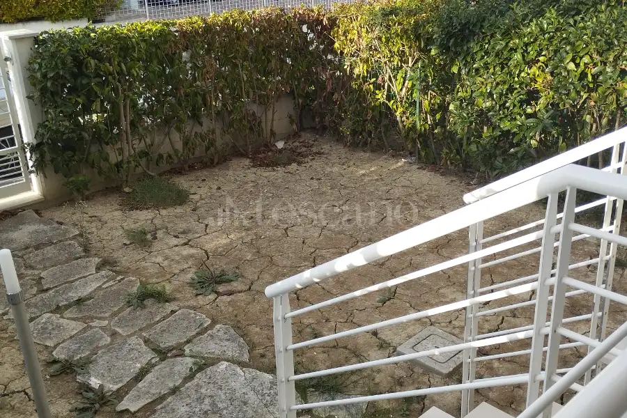 Casa in affitto di 50 mq a €460 (rif. 42/2026)