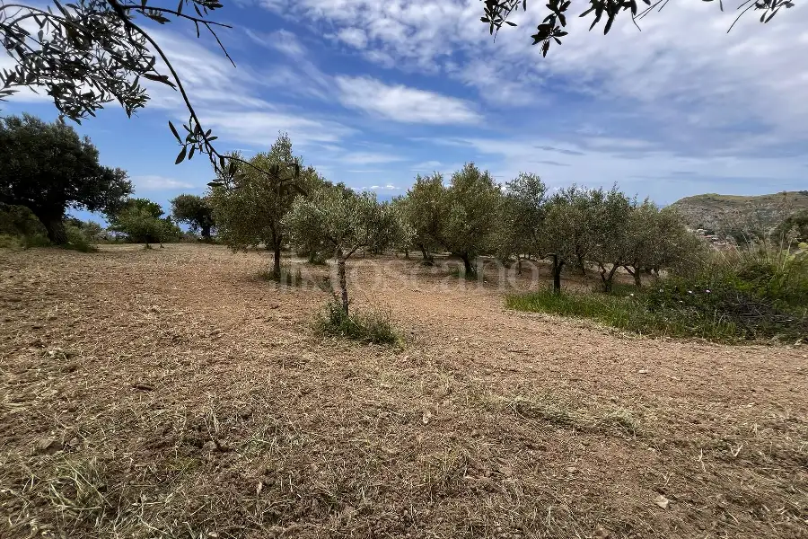Agricolo in vendita di 16.750 mq a €59.000 (rif. 13/2026)