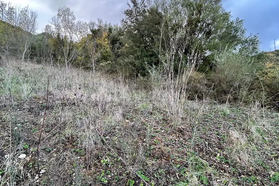 Agricolo in vendita di 4.300 mq a €10.000 (rif. 213/2025)