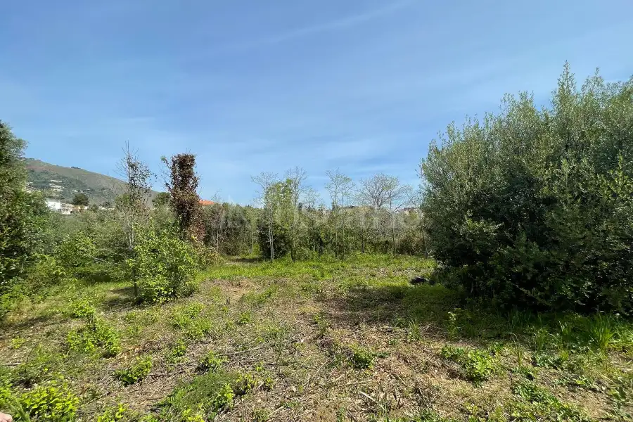 Edificabile Residenziali in vendita di 4.900 mq a €125.000 (rif. 44/2025)