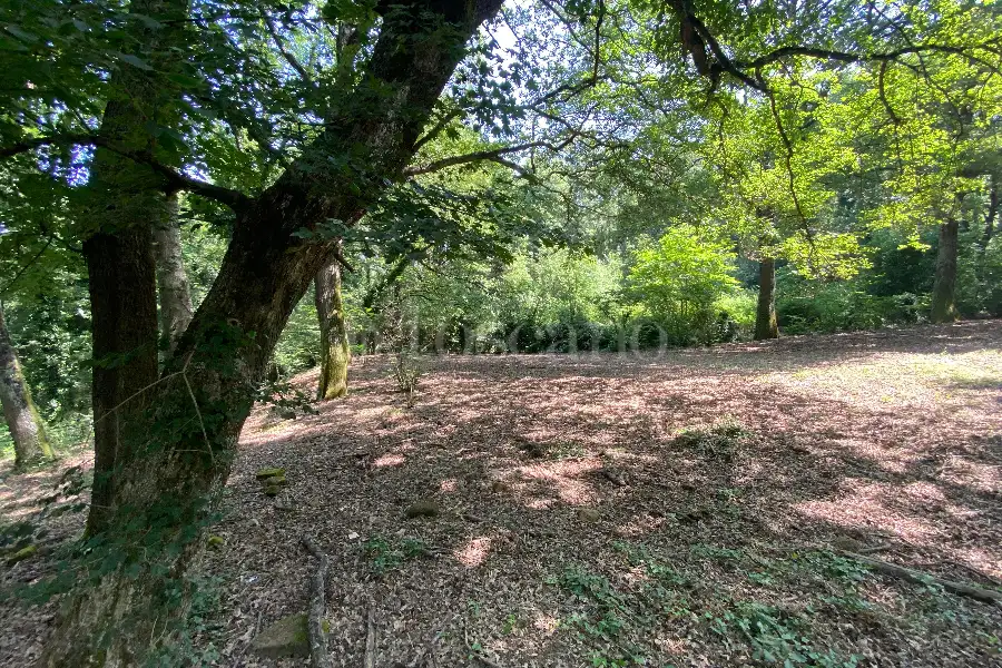 Agricolo in vendita di 5.000 mq a €19.000 (rif. 36/2025)