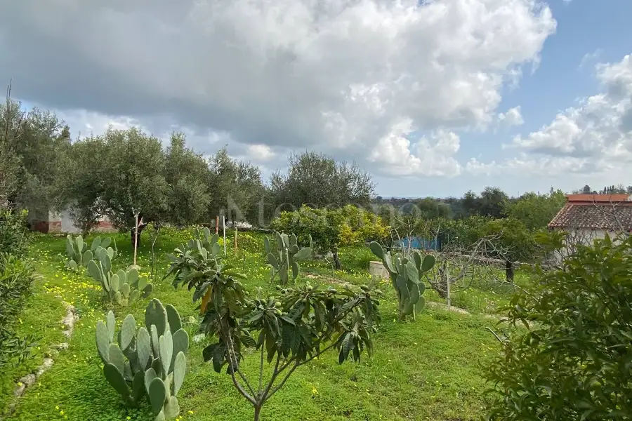 Casa Indipendente in vendita di 86 mq a €88.000 (rif. 35/2026)