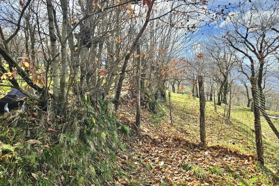 Agricolo in vendita di 4.600 mq a €18.000 (rif. 26/2026)