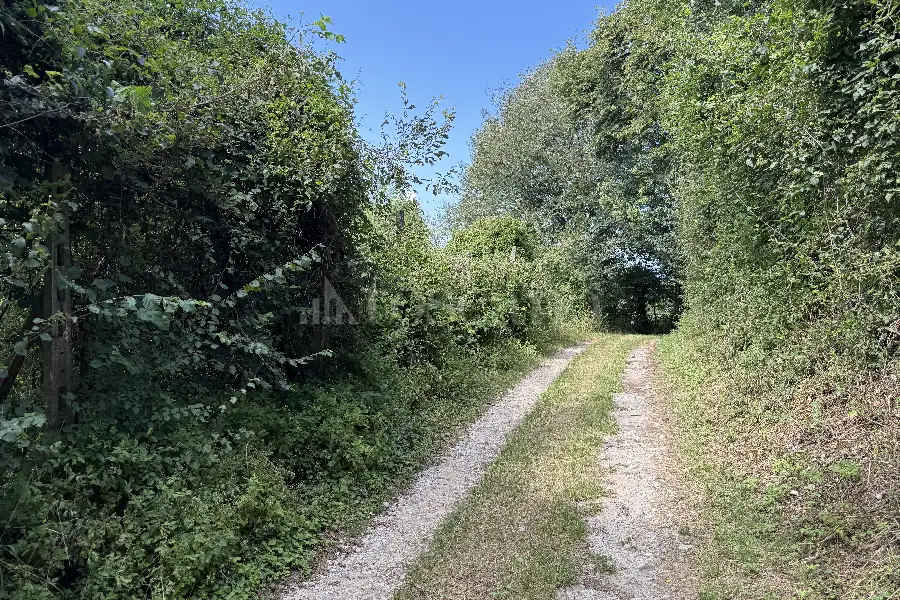 Agricolo in vendita di 3.000 mq a €65.000 (rif. 18/2026)
