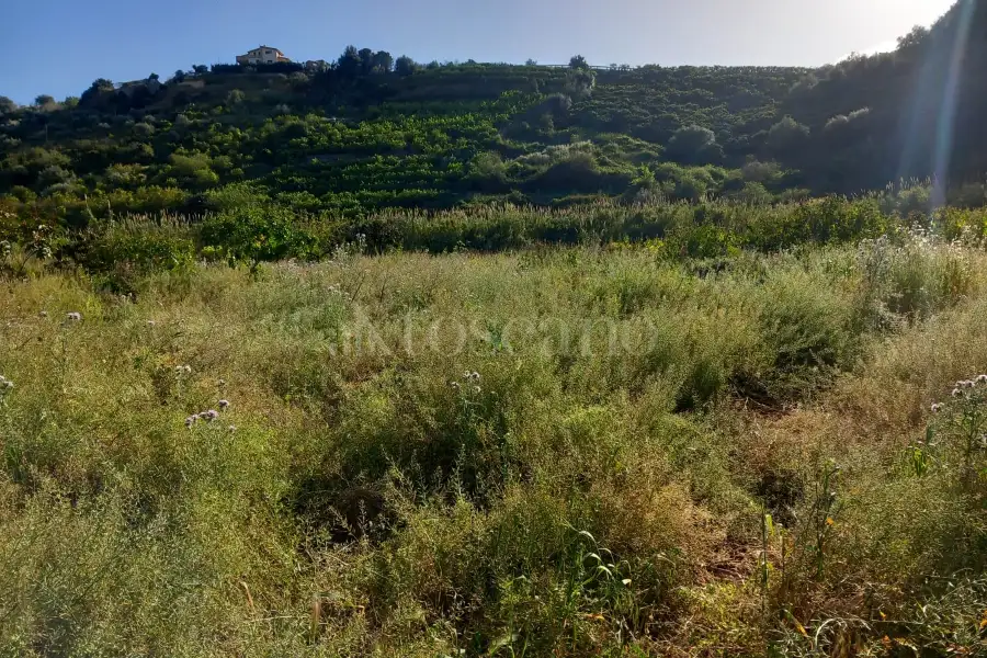 Agricolo in vendita di 1.500 mq a €6.000 (rif. 7/2024)