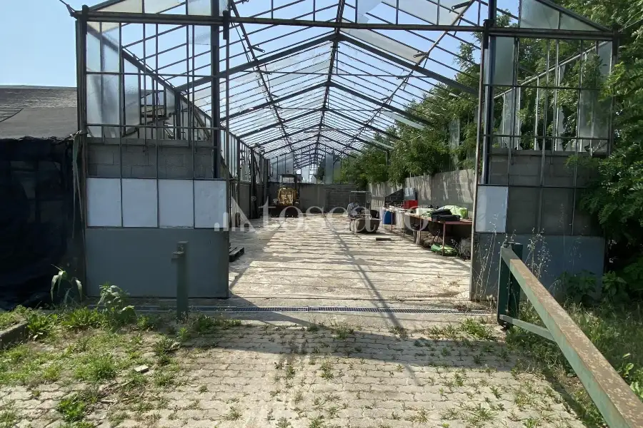 Capannone in vendita di 15000 mq a €320,000 (rif. TS0093VE)