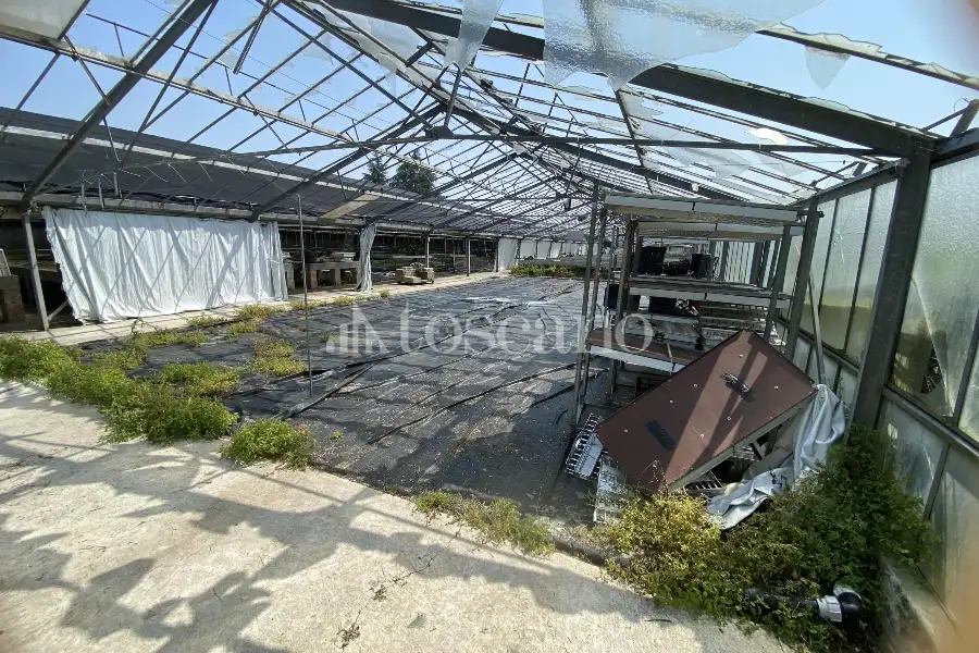 Capannone in vendita di 15000 mq a €320,000 (rif. TS0093VE)