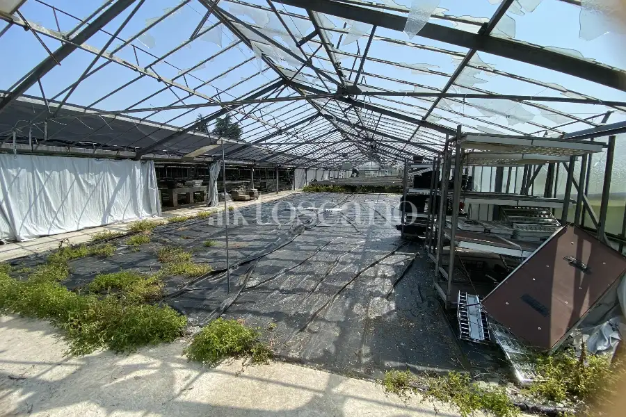 Capannone in vendita di 15000 mq a €320,000 (rif. TS0093VE)
