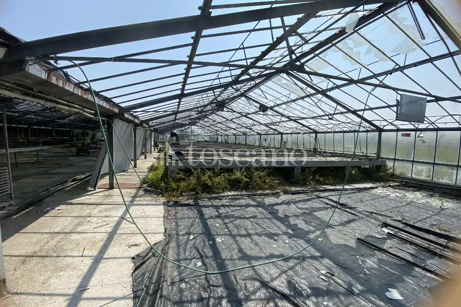 Capannone in vendita di 15000 mq a €320,000 (rif. TS0093VE)