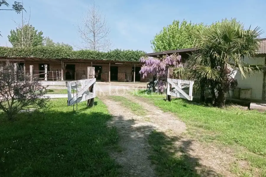 Capannone in vendita di 900 mq a €330,000 (rif. TS0086VE)