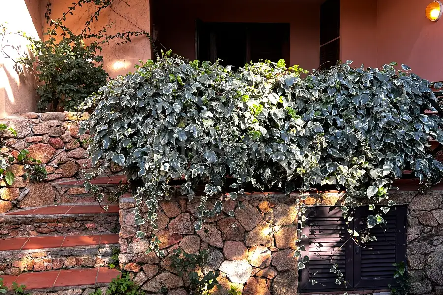 Casa in vendita di 68 mq a €340.000 (rif. 11/2026)