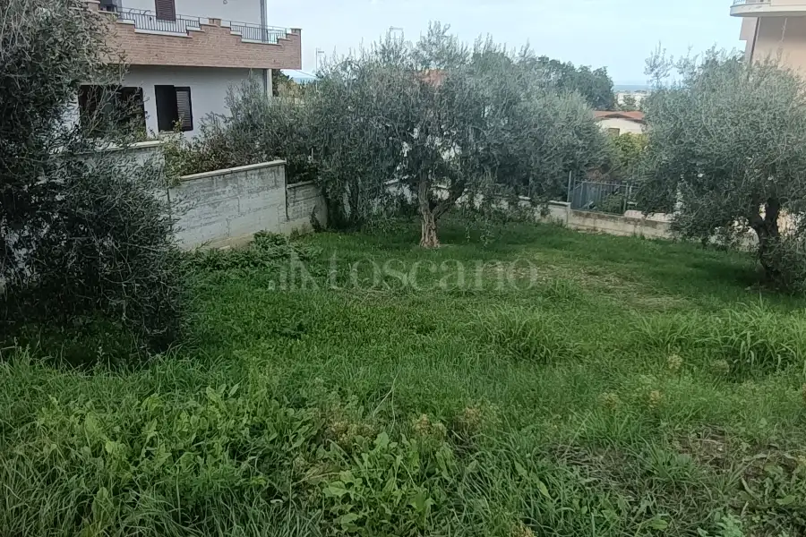Edificabile Residenziali in vendita di 686 mq a €73.000 (rif. 41/2025)