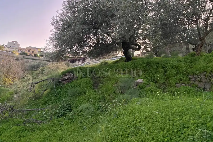 Casale in vendita di 60 mq a €68.000 (rif. 88/2024)