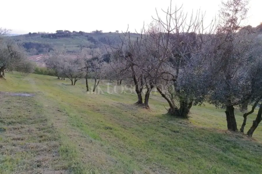 Agricolo in vendita di 15.000 mq a €30.000 (rif. 18/2025)
