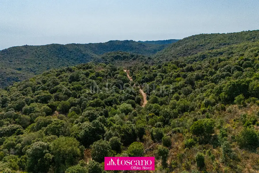 Agricolo in vendita di 176.937 mq a €170.000 (rif. 49/2026)